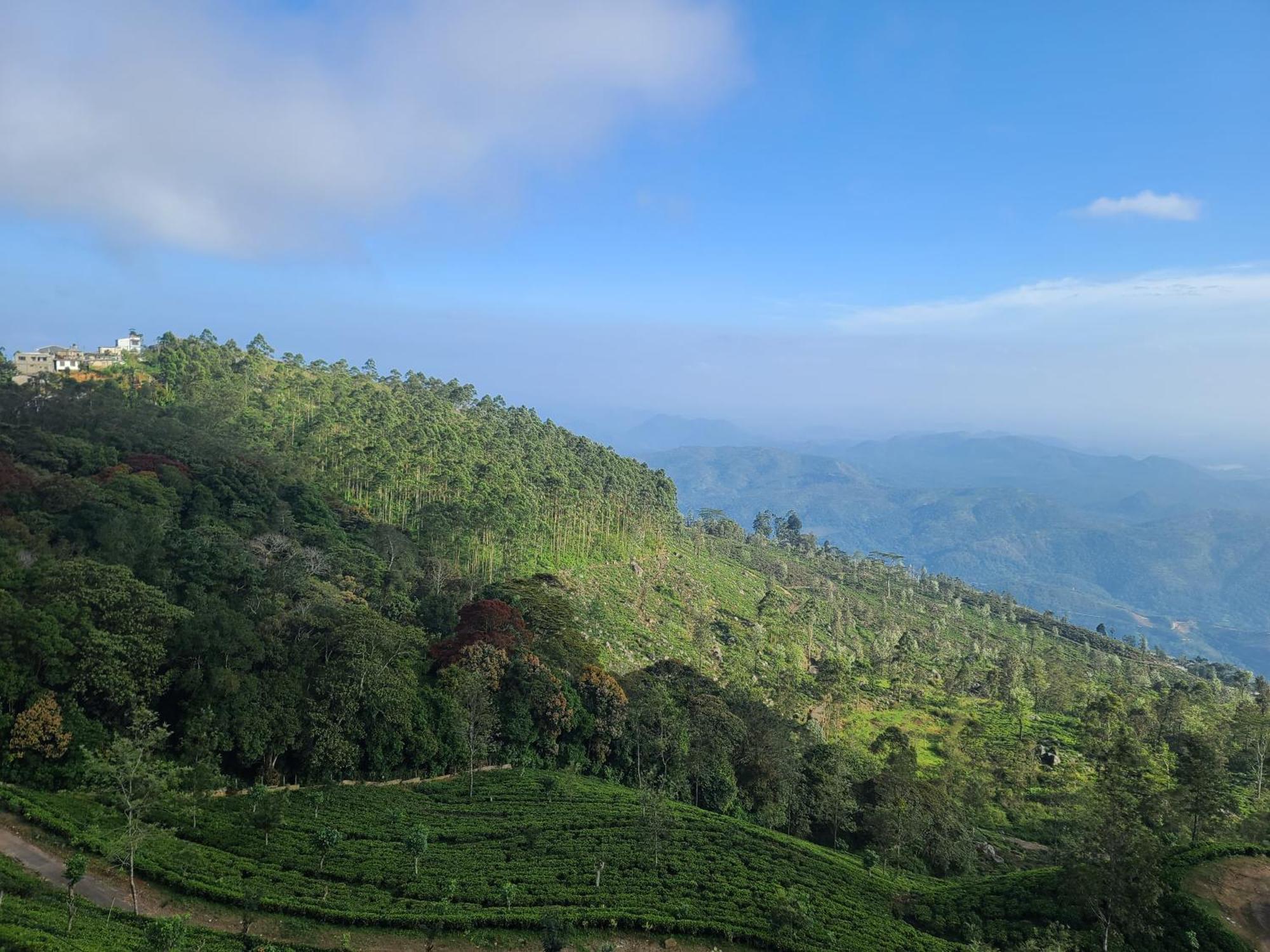 Leisure Mount View Hotell Haputale Rom bilde